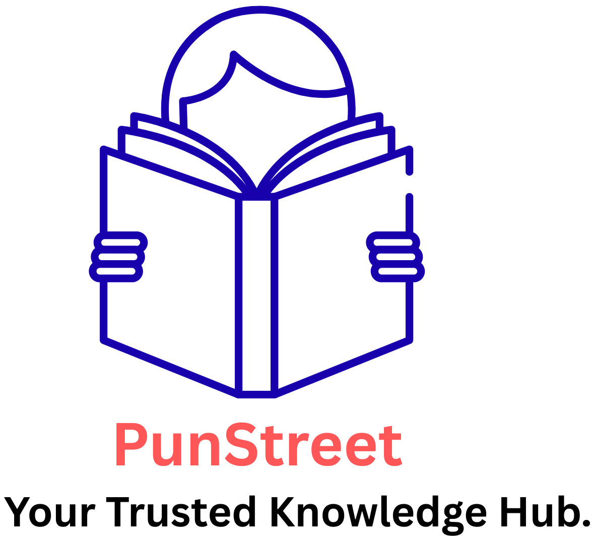 Punstreet logo